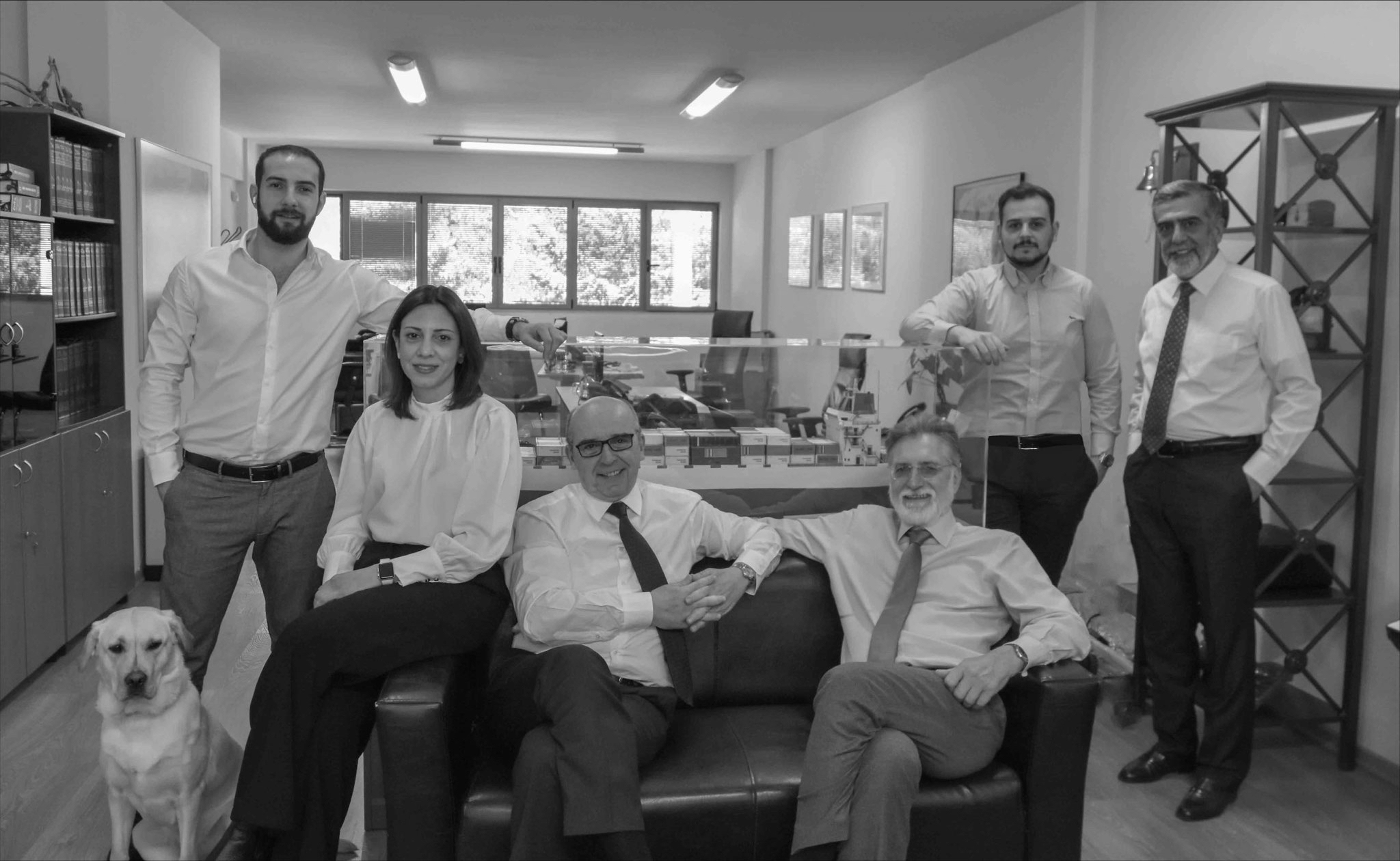 team image